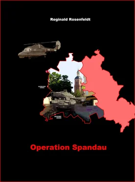 Reginald Rosenfeldt Operation Spandau обложка книги