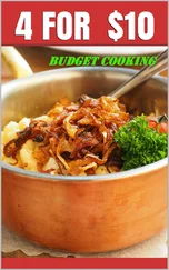 Markus Seiler - FEED 4 FOR UNDER $10