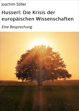 Joachim Stiller Husserl: Die Krisis der europäischen Wissenschaften обложка книги
