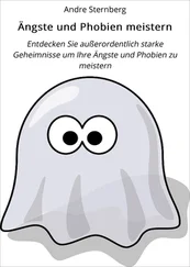 André Sternberg - Ängste und Phobien meistern