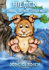 Jörg Olbrich - Hilmer