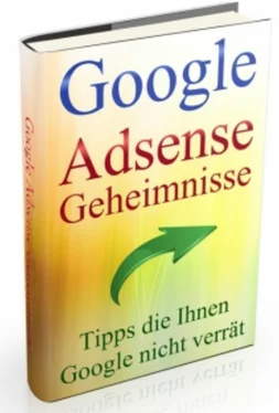 Dr. Meinhard Mang Google AdSense Geheimnisse обложка книги