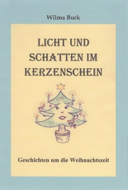 Wilma Burk Licht und Schatten im Kerzenschein обложка книги