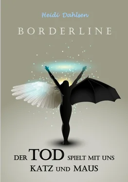 Heidi Dahlsen Borderline обложка книги