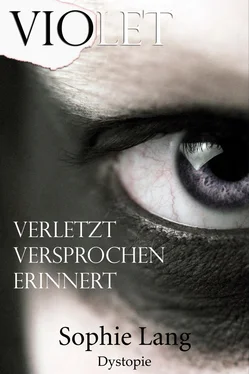 Sophie Lang Violet - Verletzt / Versprochen / Erinnert - Buch 1-3 обложка книги