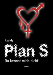 K. andy - Plan S
