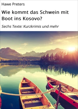 Hawe Preters Wie kommt das Schwein mit Boot ins Kosovo? обложка книги