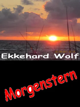 Ekkehard Wolf Morgenstern обложка книги