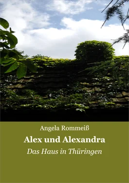 Angela Rommeiß Alex und Alexandra обложка книги