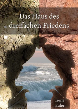 Irene Euler Das Haus des dreifachen Friedens обложка книги