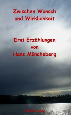 Hans Müncheberg Zwischen Wunsch und Wirklichkeit обложка книги
