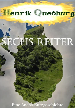 Henrik Quedburg Sechs Reiter обложка книги
