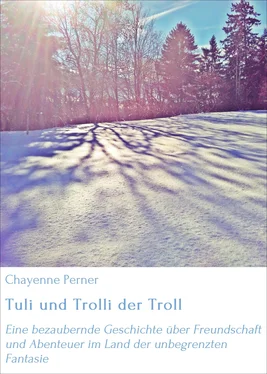 Chayenne Perner Tuli und Trolli der Troll обложка книги