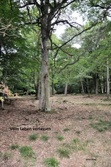 Imke Borg - Vom Leben verlassen