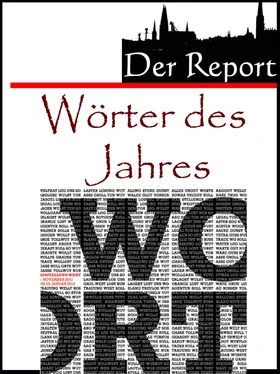 A.D. Astinus Die Wörter des Jahres обложка книги