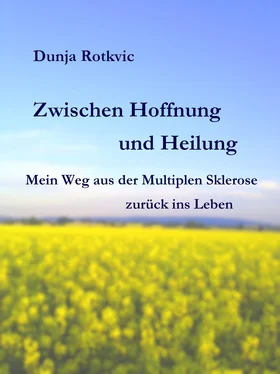 Dunja Rotkvic Zwischen Hoffnung und Heilung обложка книги