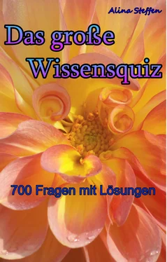 Alina Steffen Das große Wissensquiz обложка книги