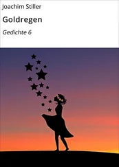 Joachim Stiller - Goldregen