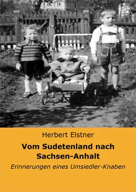 Herbert Elstner Vom Sudetenland nach Sachsen-Anhalt обложка книги