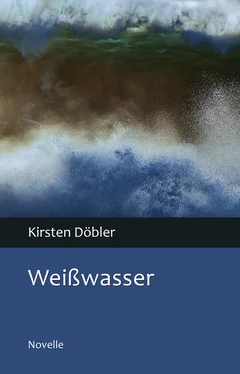 Kirsten Döbler Weißwasser обложка книги