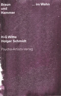Heinz-Gerhard Witte Braun & Hammer ...im Wahn обложка книги