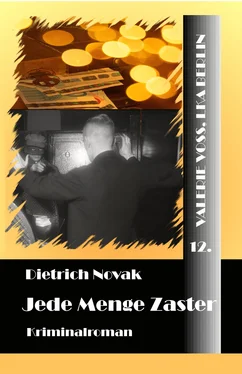 Dietrich Novak Jede Menge Zaster обложка книги