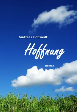 Andreas Schwedt Hoffnung обложка книги