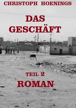 Christoph Hoenings DAS GESCHÄFT - TEIL 2 обложка книги