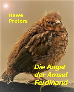 Hawe Preters Die Angst der Amsel Ferdinand обложка книги