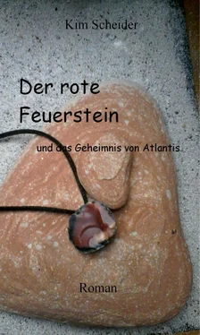 Kim Scheider Der rote Feuerstein обложка книги