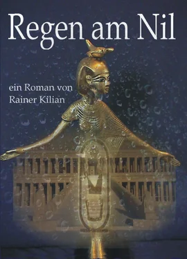 Rainer Kilian Regen am Nil обложка книги