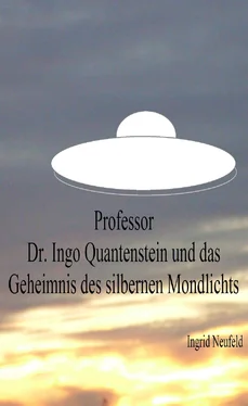 Ingrid Neufeld Professor Dr. Ingo Quantenstein und das Geheimnis des silbernen Mondlichts обложка книги