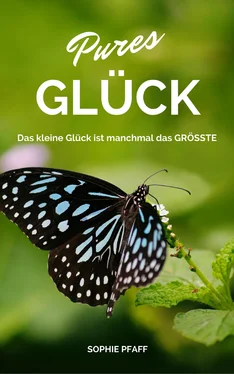 Sophie Pfaff Pures GLÜCK: Das kleine Glück ist manchmal das GRÖSSTE обложка книги