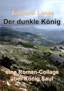 Eckhard Lange Der dunkle König обложка книги