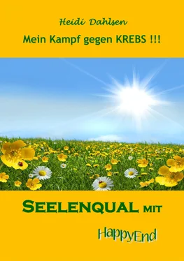 Heidi Dahlsen Seelenqual mit HappyEnd обложка книги