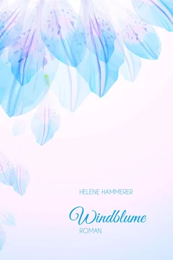 Helene Hammerer Windblume обложка книги
