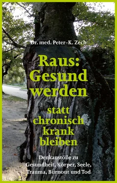 Dr. Peter-K. Zech Raus: Gesund werden statt chronisch krank bleiben обложка книги