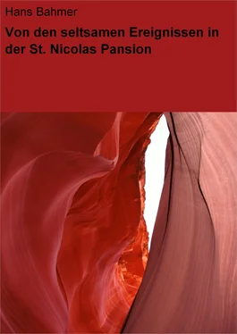 Hans Bahmer Von den seltsamen Ereignissen in der St. Nicolas Pansion обложка книги