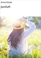 Anna Kosak - Juniluft