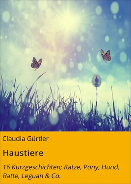 Claudia Gürtler Haustiere обложка книги