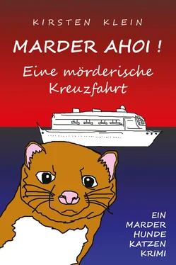 Kirsten Klein Marder ahoi! Eine mörderische Kreuzfahrt обложка книги