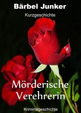 Bärbel Junker Mörderische Verehrerin обложка книги