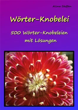 Alina Steffen Wörter-Knobelei обложка книги