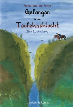 Eike Ruckenbrod Franzi und die Ponys - Band I обложка книги