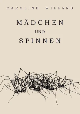 Caroline Willand Mädchen und Spinnen обложка книги