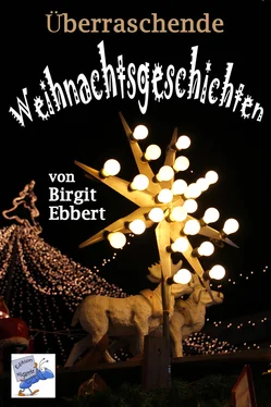 Birgit Ebbert Überraschende Weihnachtsgeschichten обложка книги