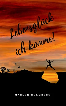 Marlen Holmberg Lebensglück ich komme! обложка книги