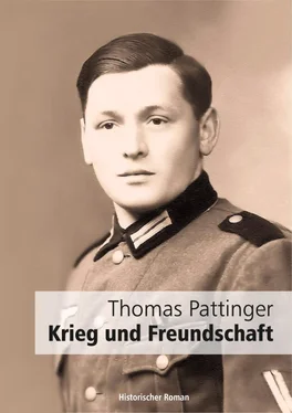 Thomas Pattinger Krieg und Freundschaft обложка книги