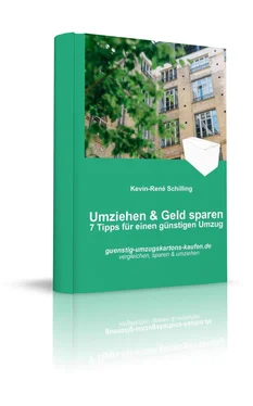 Kevin-René Schilling Umziehen und Geld sparen обложка книги