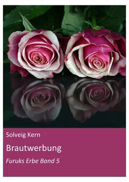 Solveig Kern Brautwerbung обложка книги
